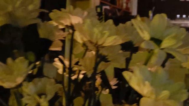 Ресторан Мадам Буше. Празднуем Настин День Рождения ?