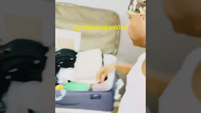 rat in my house смотреть онлайн