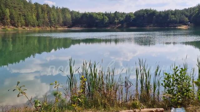 Спонтанная Йога на Природе смотреть онлайн