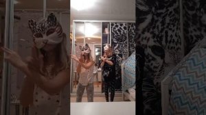 кошки-квадробика