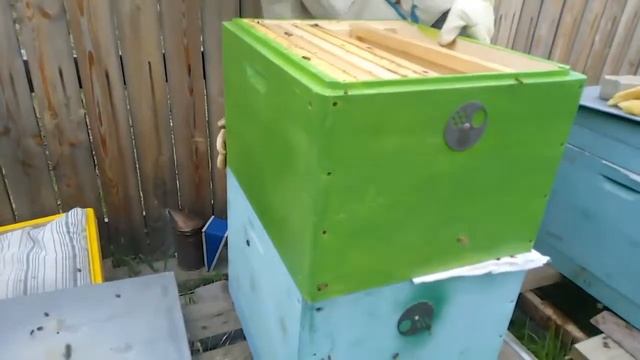 Работа на пасеке №6 Расширение 19 05 2019 Хабаровский край смотреть онлайн