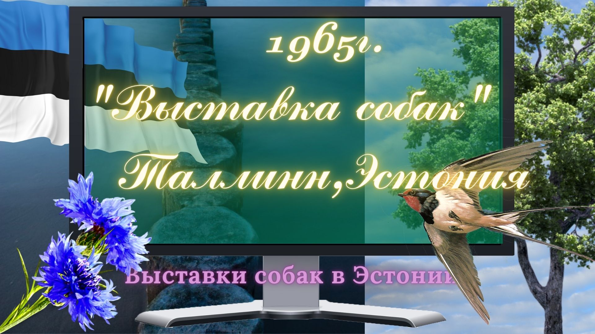 1965г. Выставка собак в Таллинне,Эстония.
