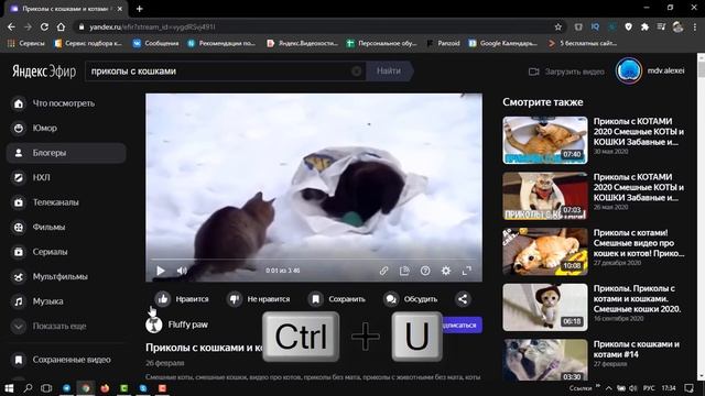 Загрузить видео из Яндекс.Эфира 100% рабочий смотреть онлайн