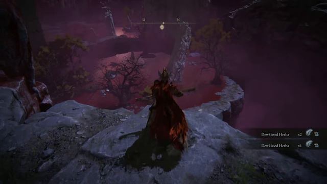 ELDEN RING Famous Bird Farming Rune смотреть онлайн