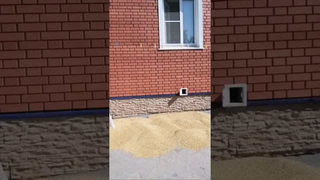 Купили Зерно. Цены на Зерно. смотреть онлайн