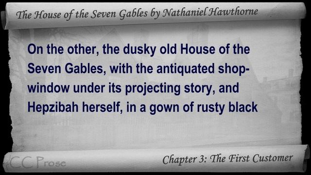 Chapter 03 - The House Of The Seven Gables By Nathaniel Hawthorne - The First Customer