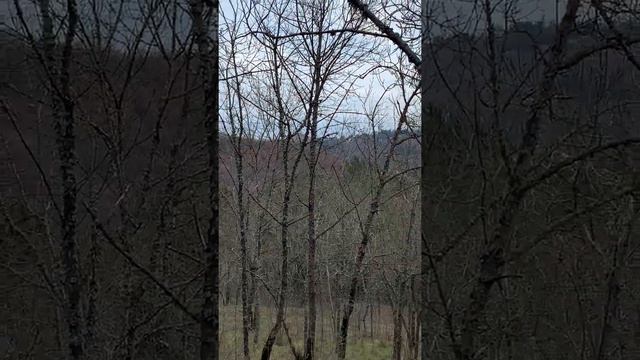 Продам видовой участок в г. Алушта ( Крым) смотреть онлайн