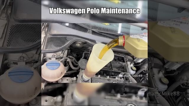 Volkswagen Polo Maintenance Service. смотреть онлайн
