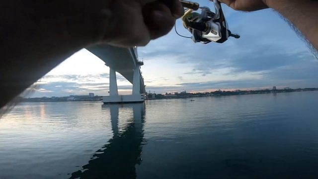 My second trev this week! | Shore jigging with Gomoku Koika 30g смотреть онлайн