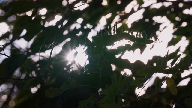 “Caregiver Burnout Is A Real Thing”: Family Caregivers On How They Cope, Take Care Of Themselves