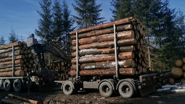 Holztransporte Kogler ???? #Holztransport#Sonneberg#Neufang#MAN смотреть онлайн