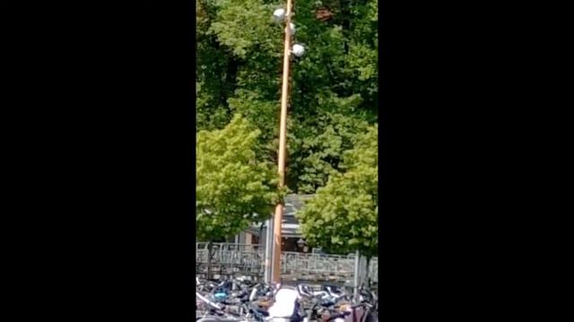 Vlog Стоянка велосипедов. Вход на станцию Triangeln. Шведы в кафе смотреть онлайн