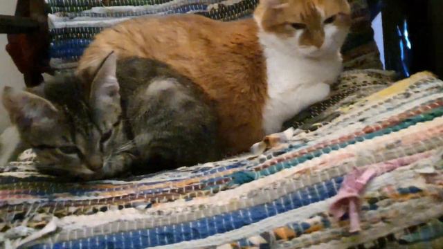 Я ЗНАЮ КТО ТЫ ! смотреть онлайн