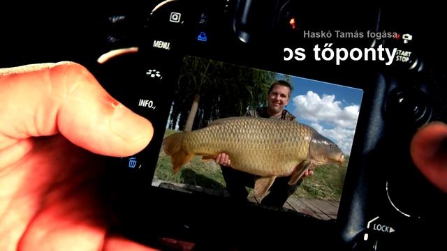 Haskó Tamás új egyéni ponty rekordja смотреть онлайн