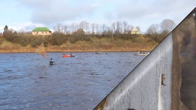 Колчаново (часть 7). Река Сясь. Корюшка пошла смотреть онлайн