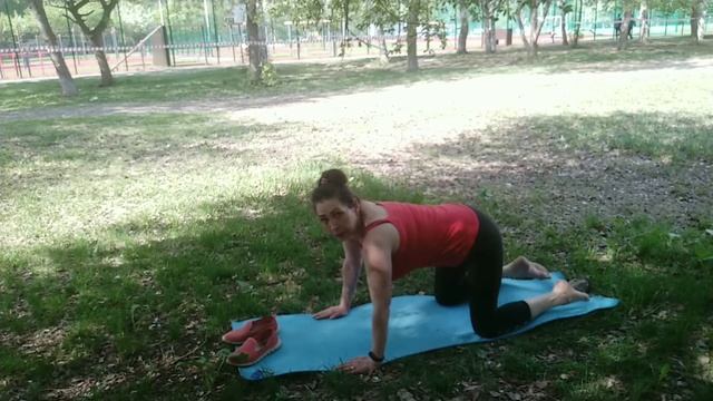 Поза дня. Кошка. смотреть онлайн