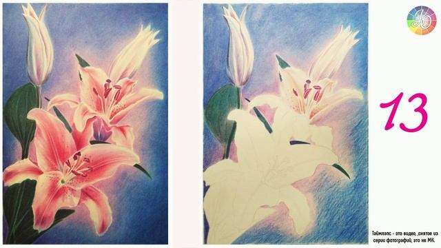 ТАЙМЛАПС. Рисую цветы (лилии) для своих подписчиков. 5000 подписчиков на канале. Планы на будущее. смотреть онлайн
