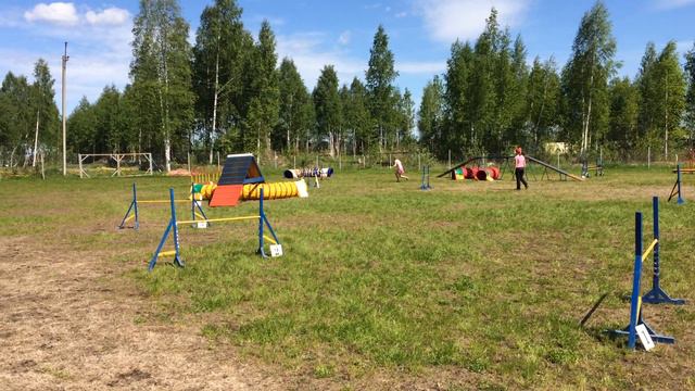 Первенство СЗФО, Городилова Зоя + б.к. Нейтан Дрейк, аджилити смотреть онлайн