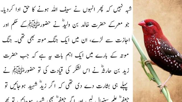 Khalid Bin Waleed ki Zindgi ke waqiat| Islamic History Video in Urdu/Hindi| Rashid Tv смотреть онлайн