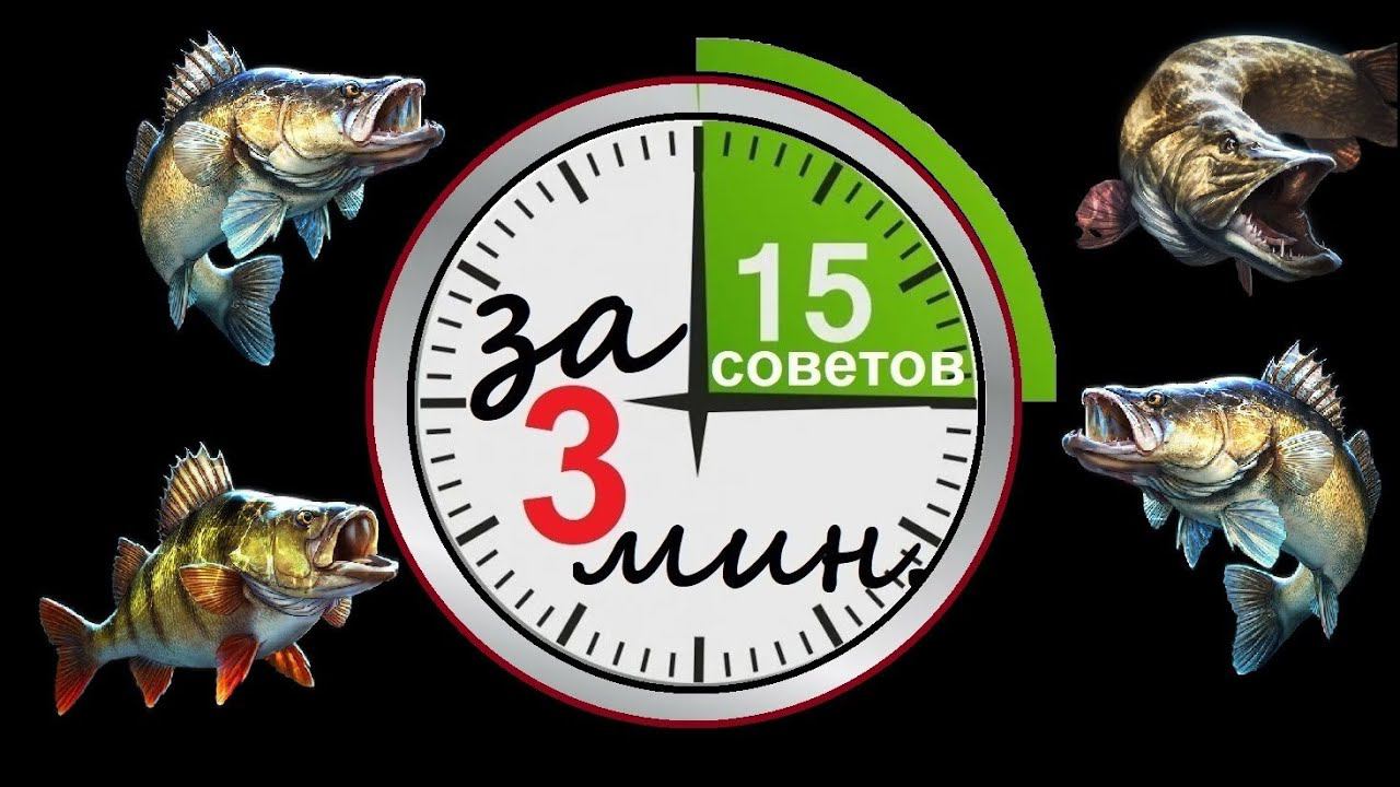 лучшие СОВЕТЫ для новичков СПИННИНГИСТОВ (15 советов за 3 МИН.) смотреть онлайн