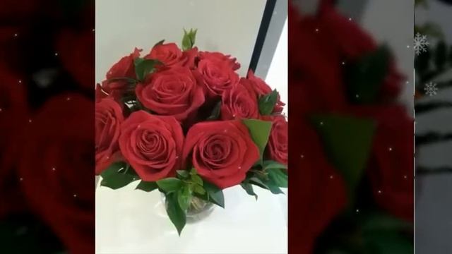 Nice Flowers Photos  Gerbera Lily Roses Daisy  #Subscribe PLS