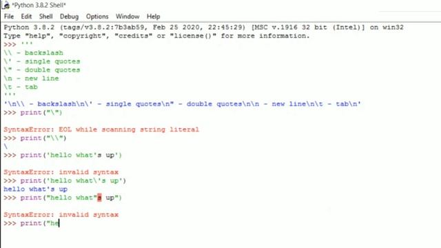 Literals in Python in Hindi || Escape Sequence||Size of String || Python Tutorial смотреть онлайн