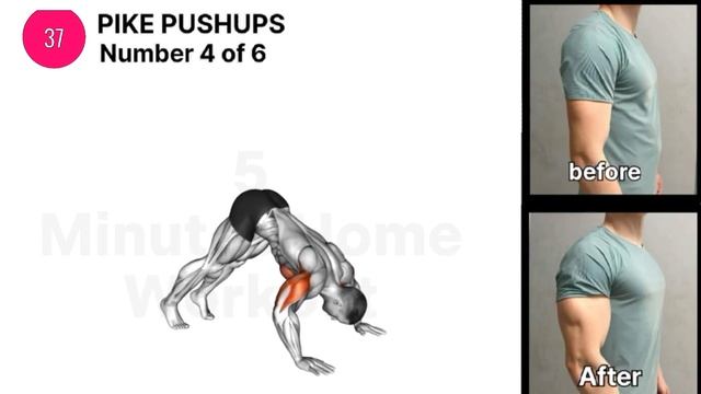 Get Bigger Arms In 10 Days | Arm Workout ( Triceps And Biceps )