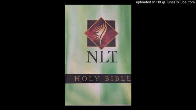 04_NLT - Gospel of John смотреть онлайн