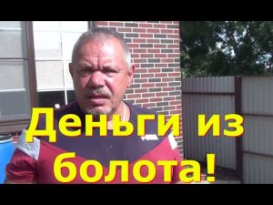 Насколько ил, богаче чем навоз. Деньги из болота.