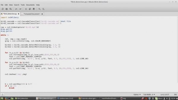 bird detection python opencv