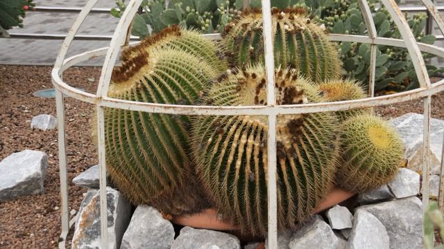 Прогулка по Баку часть 10 фото.mpg