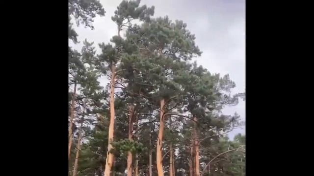 Медитация добра смотреть онлайн