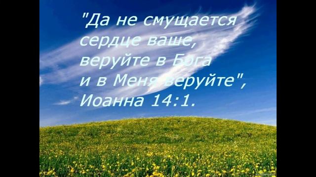 Желание веков 73 глава Да не смущается сердце ваше смотреть онлайн