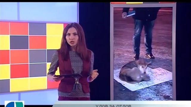 НОВОСТИ СЕВЕРНОГО ГОРОДА от 22 января 2018 смотреть онлайн