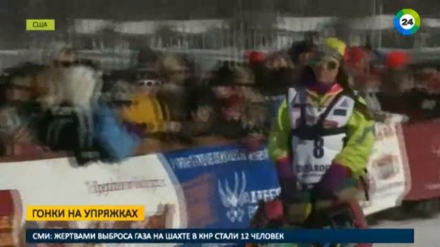 На Аляске самая известная гонка на собачьих упряжках набрала полный ход смотреть онлайн