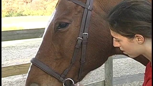 The Bitless Bridle: Part 1 смотреть онлайн