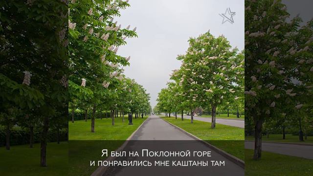 Пенсионер из Ряжска Пётр Касянчук за свой счет озеленяет улицы города смотреть онлайн