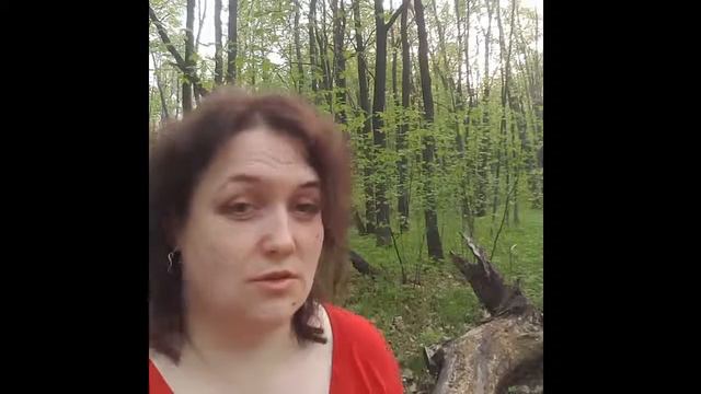 2. Четыре группы людей. смотреть онлайн