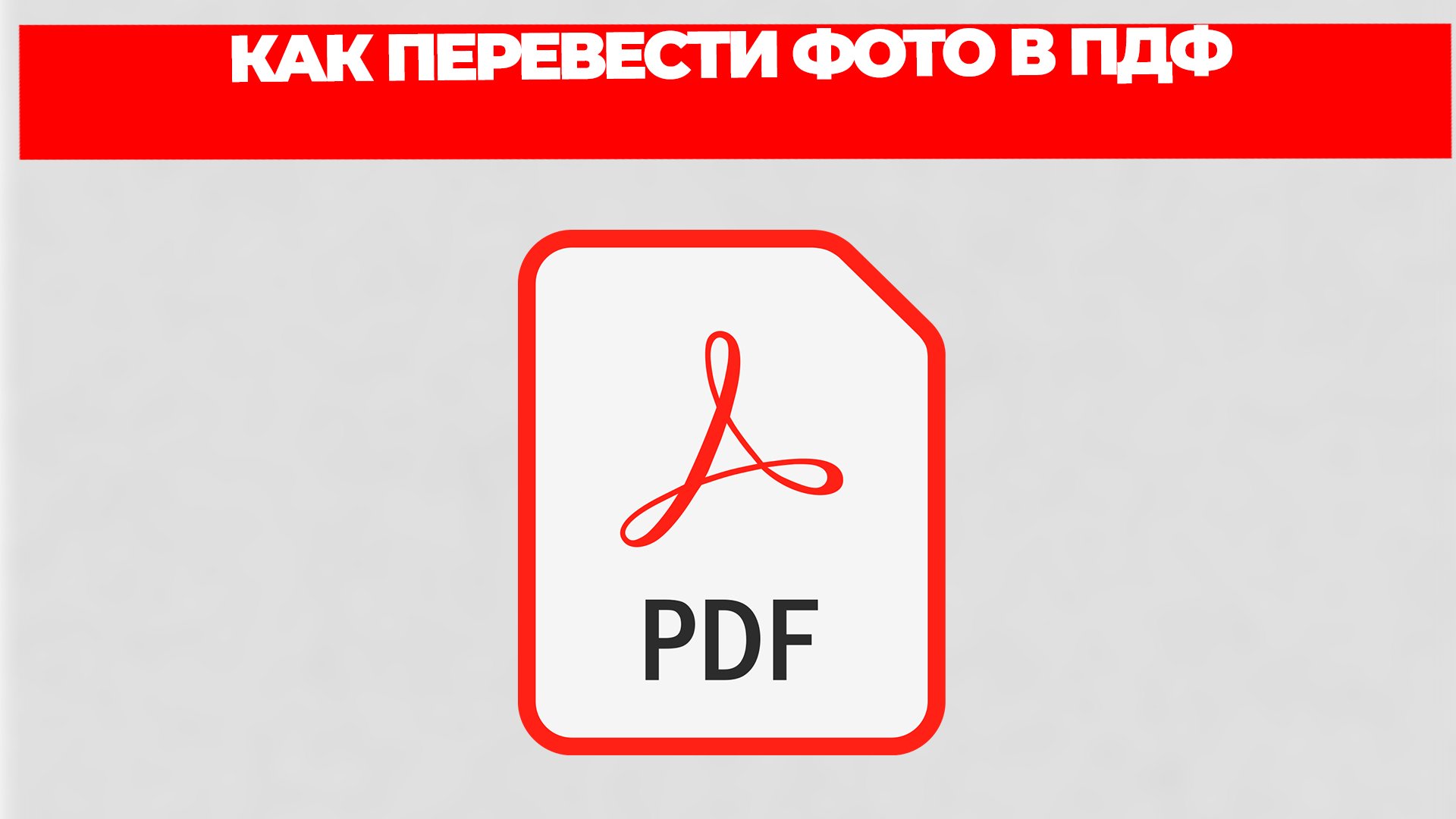 Всезнающий Енот