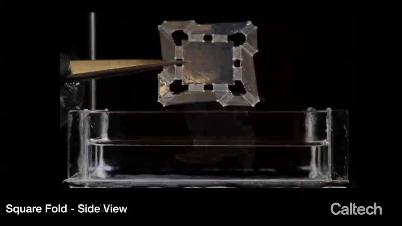 Складной мягкий робот Rollbot смотреть онлайн