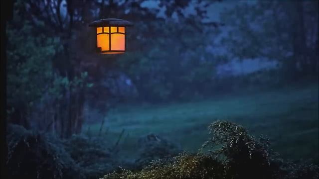 Heavy Thunderstorm And Rain Sounds - 8 Hours For Sleep Study & Relaxation