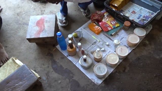 ЯДОВИТЫЕ КОБРЫ И ЗМЕИ В ВАРАНАСИ. ОЧЕНЬ ОПАСНО.ОЧЕНЬ. смотреть онлайн