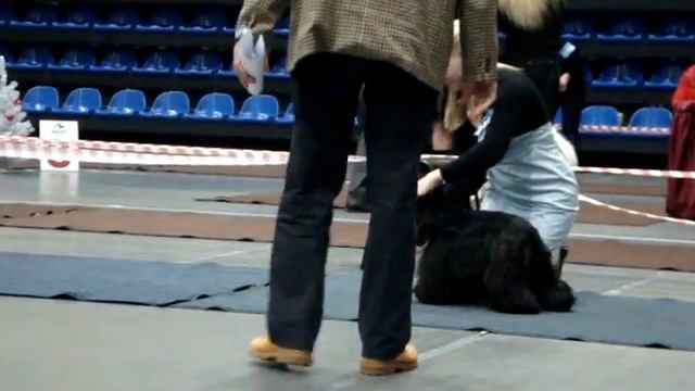 28 11 2010 Н ТАГИЛ УРОШЕВИЧ СЕРБИЯ сравнение на ЛЮП смотреть онлайн