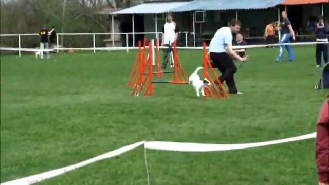Agility PRT Ammy&Roland, Kutina, 03.04.2011.wmv смотреть онлайн