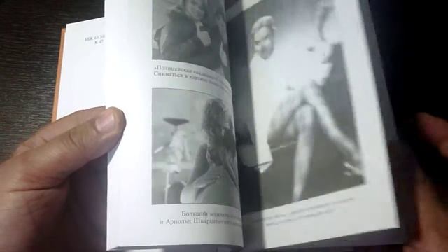 Силуэты Успеха Шэрон Стоун - Калмер М - 1999 смотреть онлайн