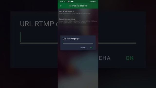 Как вести прямую трансляцию в TikTok или как стримить любую игру в ТикТок смотреть онлайн