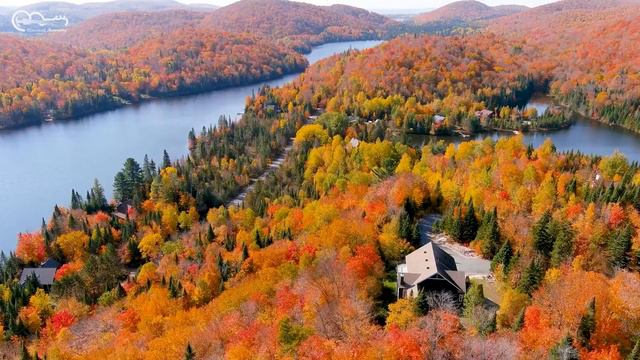 Classical Music For Autumn - Relaxing Violin & Piano Music
