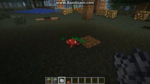 КАК вырастить грибы в майнкрафте