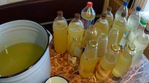 Сбор берёзового сока. Медовуха и квас из берёзового сока. Обзор саженцев крыжовника и смородины.