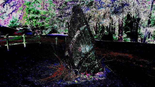 Nettuno / Ambient Music, Experimental Music